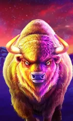 Buffalo King Megaways